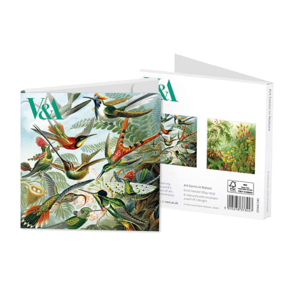 V&A Art Forms in Nature Notecards
