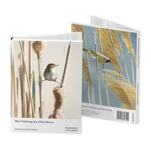 Bird Paintings by Chris Bacon Notecards