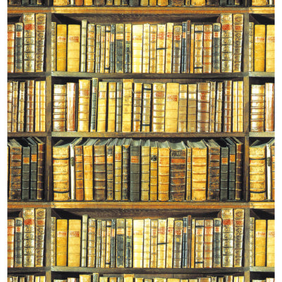 Bookshelf Gift Wrap Sheet