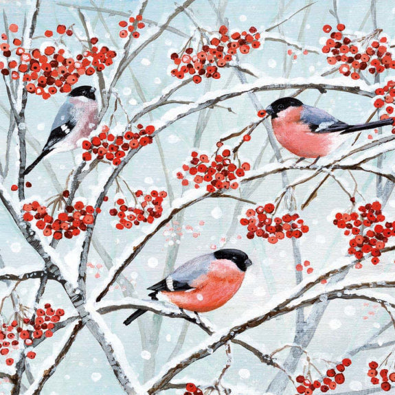 Bullfinches and Berries Christmas Cards 5 Pack