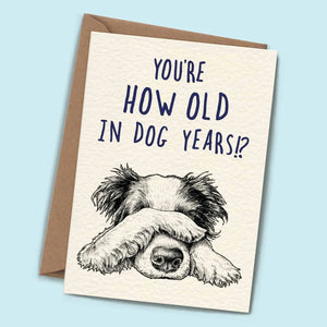 You're How Old in Dog Years!? Blank Card