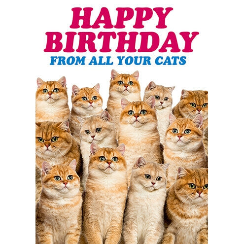 Happy Birthday From Your Cats from Dean Morris