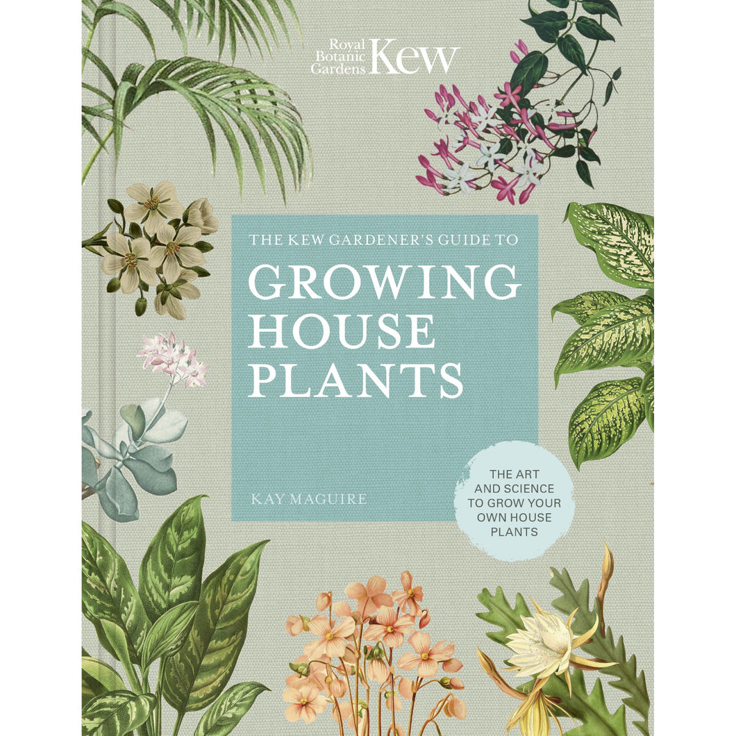 Growing House Plants