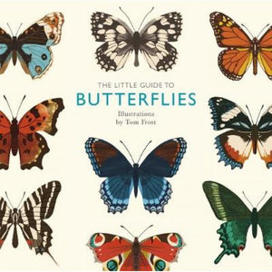 Guide to Butterflies