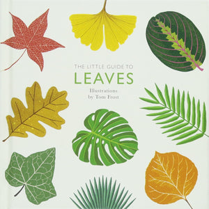 Guide to Leaves