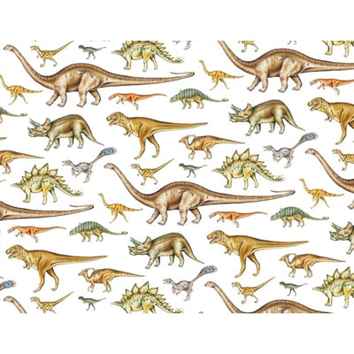 NHM Dinosaur Gift Wrap Sheet