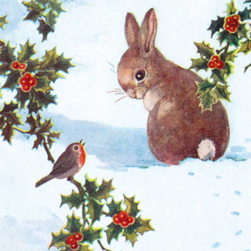 Rabbit and Robin Charity Christmas Cards 8 Pack