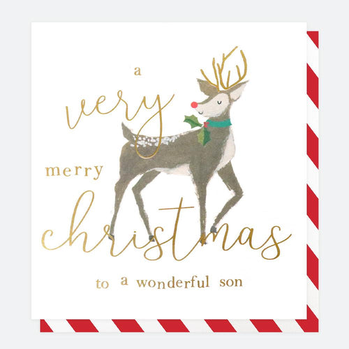 Caroline Gardner Wonderful Son Christmas Card